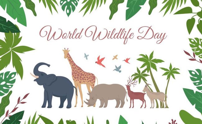 3rd March 2024 World Wildlife Day HD Photos